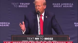 President Trump: "Chris Christie is a deranged person"