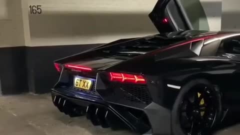 Lamborghini lamborghini