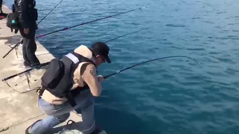 Full bow fishing