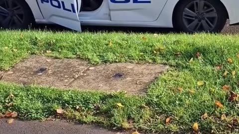 UK: 'Virgin' copper 'just out of puberty' gets told off good for throwing litter out of police car!😁