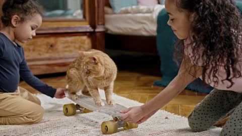 video kids playing with their cat on a skatebourd