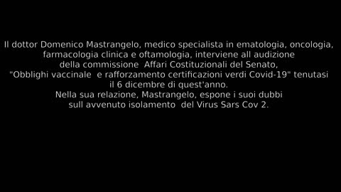 DOTTOR MASTRANGELO INTERVIENE ALLA COMMISSIONE AFFARI COSTITUZIONALI DEL SENATO
