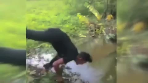 Funny videos that make you sick to your stomach