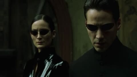 Not Errybody - The Matrix Reloaded