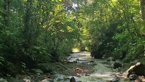 Little bukid girl takes a long hike to the farm, stopping to play every chance she gets haha