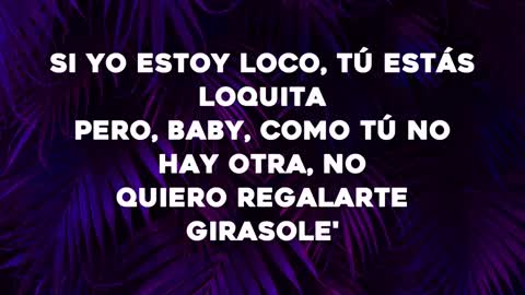 Bad Bunny - Ojitos Lindos (Letra-Lyrics) ft