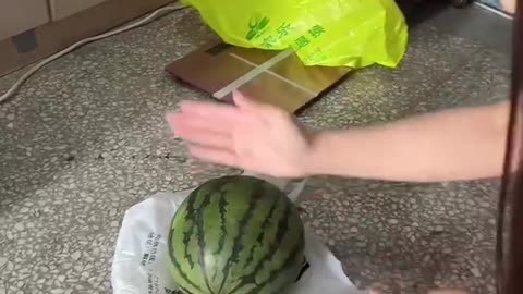 hand split watermelon