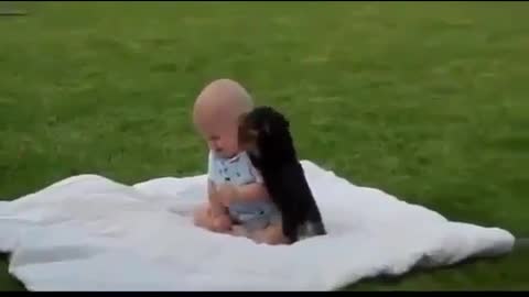 Cute Baby and funny dog fighting