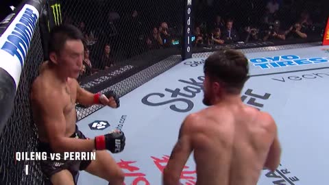 Best Moments From UFC Fight Pass in August