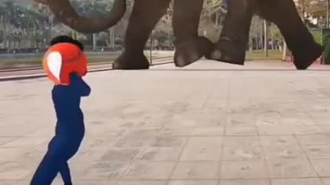 Elephant Big funny video