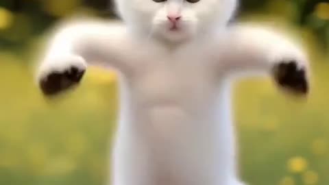 Cat dancing 😻😀😻