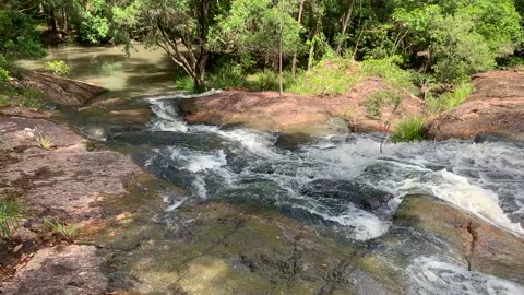 Bush waterfall