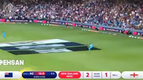 Cricket winning moments