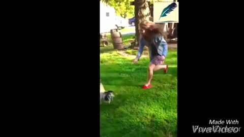 Funny chickens Chasing Kids | Funny animals