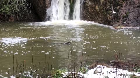 The Waterfall on Anna Belcher Creek