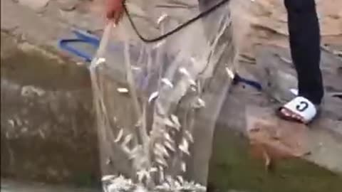 Amazing fisherman