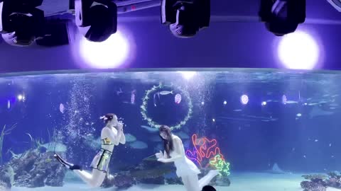 Beautiful and mysterious mermaid show show show