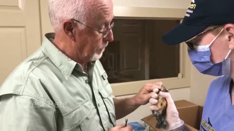 Bird 🕊️ Care - Removing String and thread wrapped around foot of bird - Help Bird