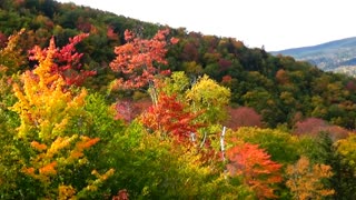 Peak Foliage