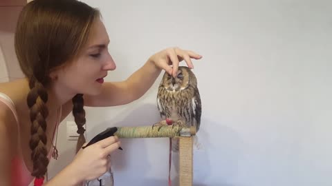 Cute Kisses from an Awesome Owl