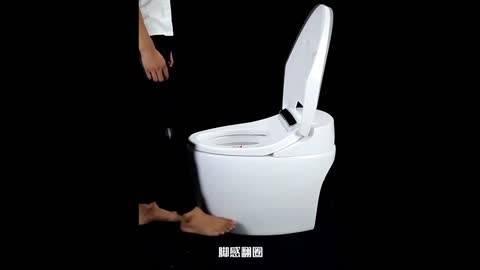 Smart toilet {660}