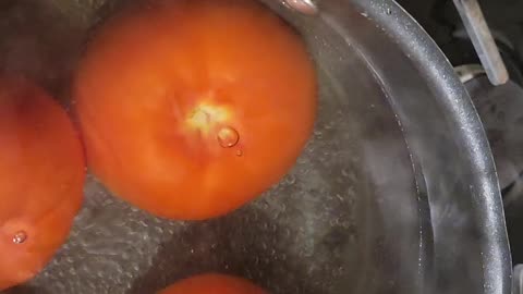 How to make Tomato Concasse? ቲማቲም ኮንካሴ እንዴት እንሰራለን?