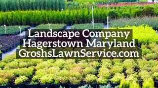 Fall Planting Hagerstown Maryland Landscape Company