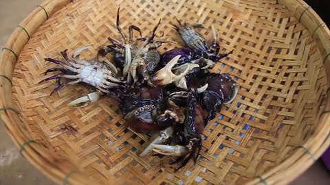 Yummy Cooking crab recipe - Cooking skills _ Khmer Survival Skills