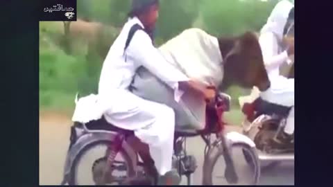 Pakistani Bike Rider Showing his Skills - Funny Viral Video