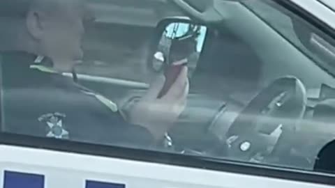Cop Uses Phone While Driving