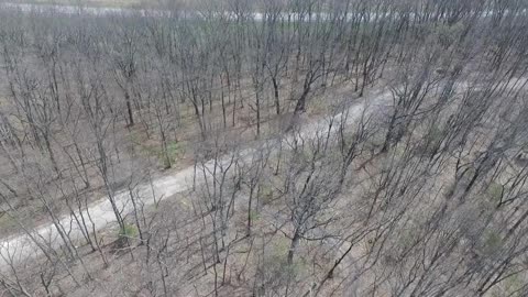 Drone looking for deer