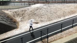 Snowing in Tokyo