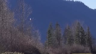 L-17 Navion Pilot Performs a Steep Obstacle Approach and Landing Over Trees to Golf Course Airstrip