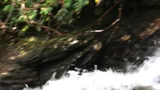 The Cascades Trail, waterfall, Blue Ridge Parkway