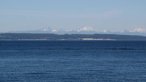 Another Gorgeous Day In Port Townsend.