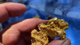 Awesome GOLD Minelab GPX6000 Metal Detecting