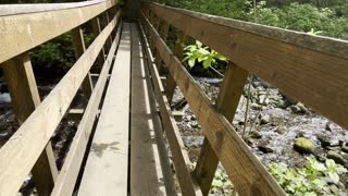 Dry Creek Falls Bridge on Pacific Crest Trail – Columbia River Gorge – Oregon – 4K