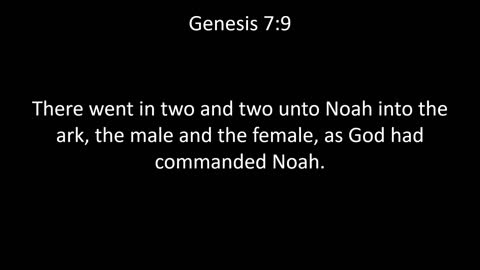 KJV Bible Genesis Chapter 7