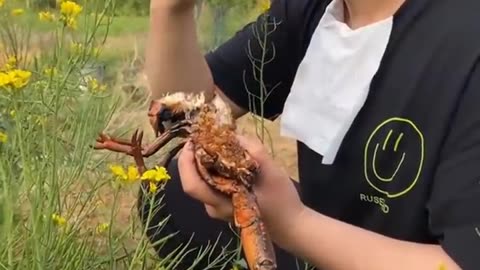 WHat is this Dude Eating ? AYEEEEEEEEEEE