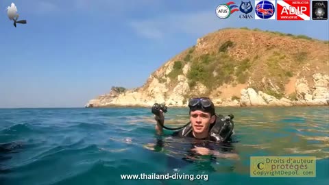 Plongée découverte pour Théry, Ronan et Jarod à Pattaya
