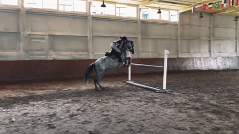 Equestrian handicap