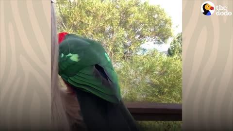 The parrot shows off her girlfriend