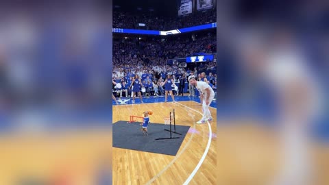 Chihuahua dunks and shows the whole NBA stadium🏆🏀