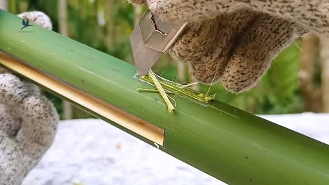 Bamboo DIY- Slingshots