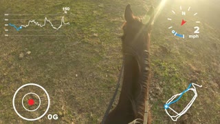 Horse ride telemetry!