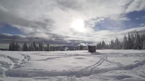 Snowfall Winter | Free Stock Footage