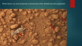What is a Fishing Lure Doing on Mars?