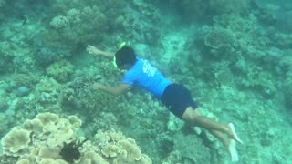 Snorkeling Adventures Philippines. Our guide freediving. So amazing!!