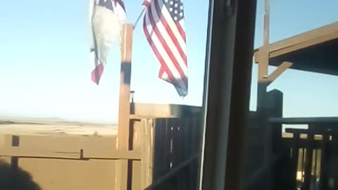Grandma loved flags