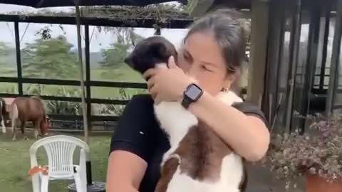 Cute video of a girl hugging a small horse.